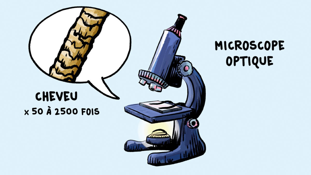 comment fonctionne un microscope électronique